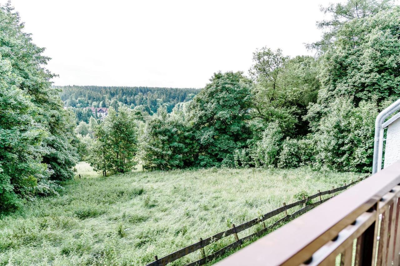 Appartamento Wiesenblick Goslar Esterno foto